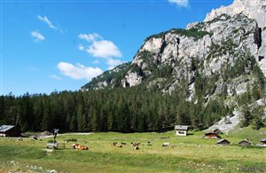 Königreich Fanes in der Ferienregion Kronplatz