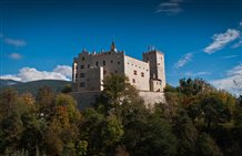 Blick auf Schloss Bruneck