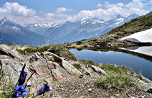 Naturpark Rieserferner Ahrn