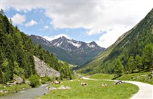Blick auf den Naturpark Rieserferner Ahrn in der Ferienregion Kronplatz
