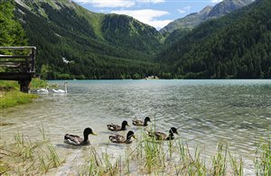 Antholzersee im Herbst in der Ferienregion Kronplatz