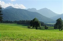 Naturbelassene Landschaft in Rasen