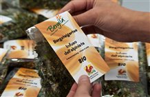 Bergila - Bergsteigertee