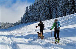 Skitour in der Ferienregion